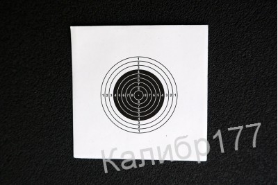 Мишень для пневматики №8 80*80мм, бумага 140г, 500шт
